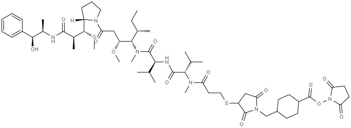 MMAE-SMCC Struktur