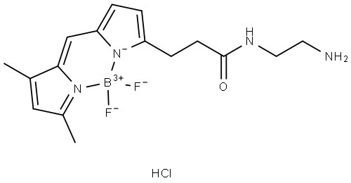 BODIPY FL-EDA Struktur