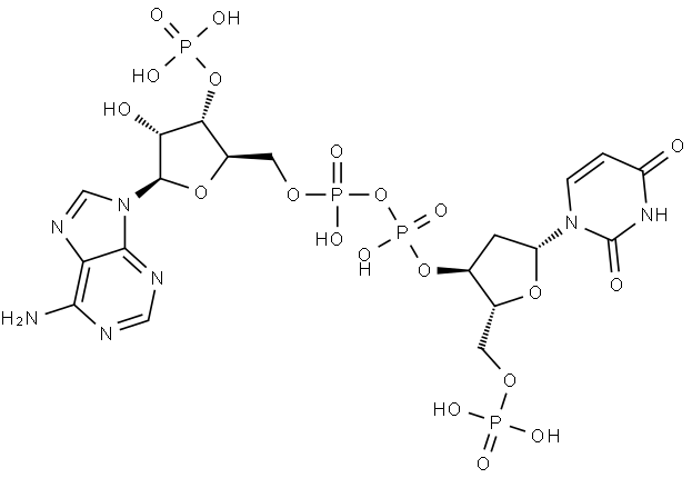 Adenosine 5'-(trihydrogen diphosphate), 3'-(dihydrogen phosphate), P'→3'-ester with 2'-deoxy-5'-uridylic acid Struktur