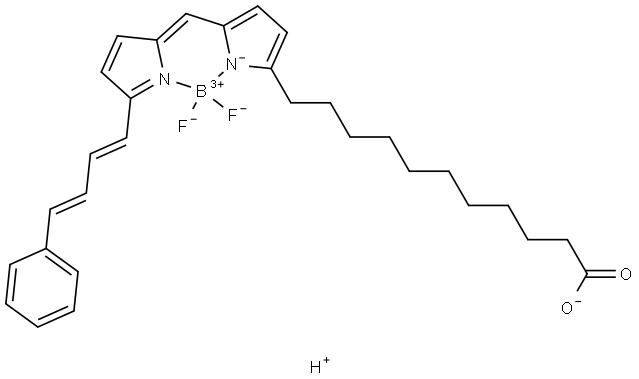 BODIPY 581/591 C11