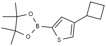 4-(Cyclobutyl)thiophene-2-boronic acid pinacol ester Struktur