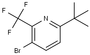 3-bromo-6-(tert-butyl)-2-(trifluoromethyl)pyridine Struktur