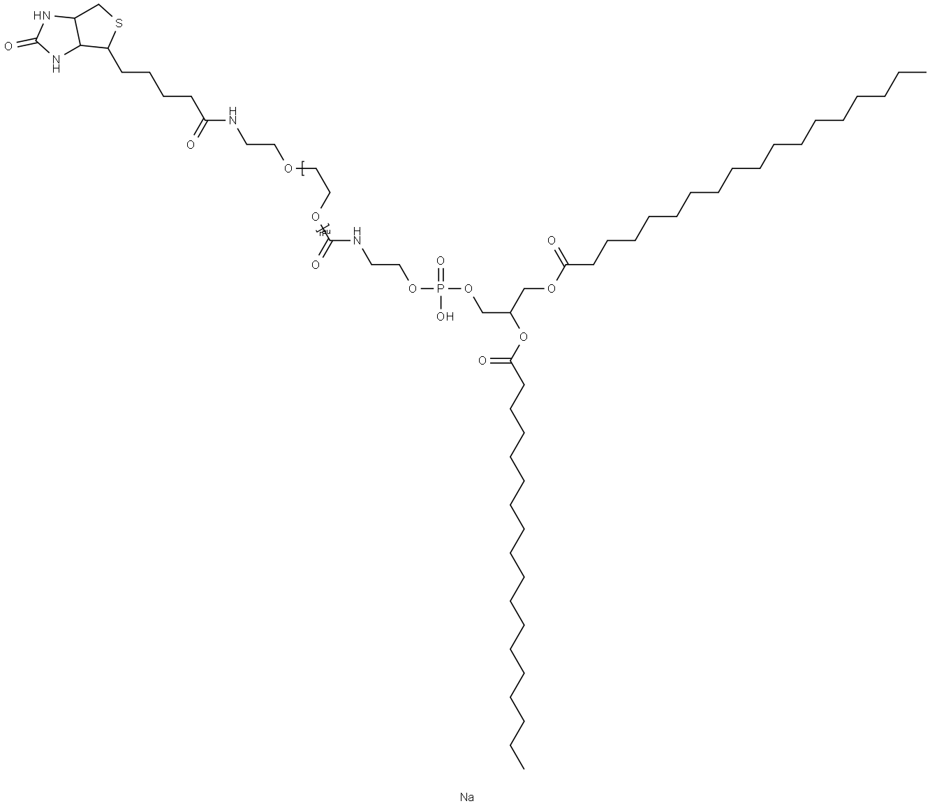 1,2-distearoyl-sn-glycero-3-phosphoethanolaMine-N-[biotinyl(polyethylene glycol)-2000] (aMMoniuM salt) price.