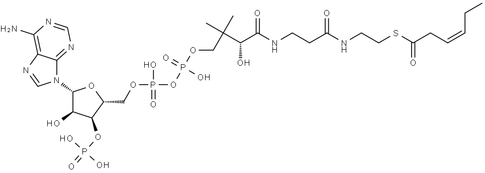 Coenzyme A, S-(3Z)-3-hexenoate Struktur