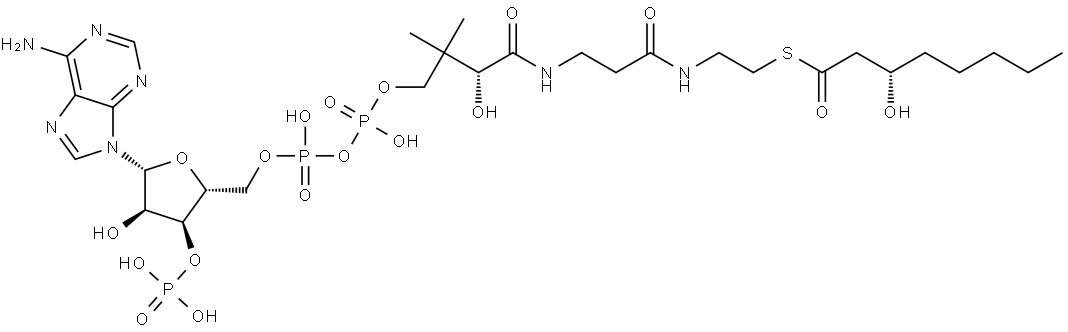 Coenzyme A, S-[(3S)-3-hydroxyoctanoate] Struktur