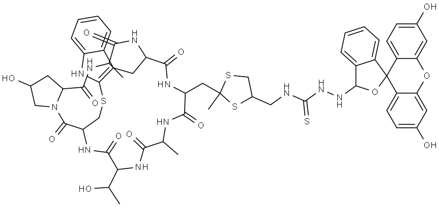 FLUORESCEIN PHALLOIDIN Struktur