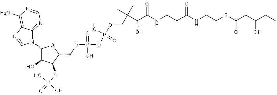 Coenzyme A, S-(3-hydroxypentanoate) (9CI) Struktur