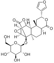 PALMATOSIDEA Struktur