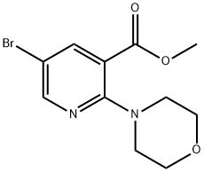 methyl 5-bromo-2-morpholinonicotinate price.