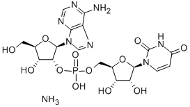 ADENYLYL(2'>5')URIDINE AMMONIUM Struktur