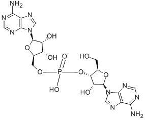 ADENYLYL(3'-5')ADENOSINE Struktur