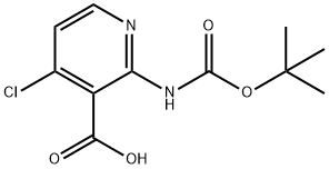 2-(TERT-BUTOXYCARBONYLAMINO)-4-CHLORONICOTINIC ACID price.