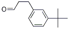 Benzenepropanal, 3-(1,1-diMethylethyl)-