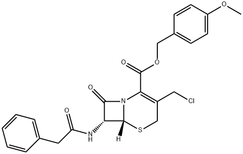 GCLE Struktur