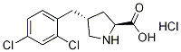 (2S,4R)-4-(2,4-dichlorobenzyl)pyrrolidine-2-carboxylic acid hydrochloride Struktur