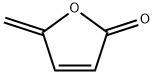 5-methylenefuran-2(5H)-one