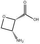 (2S, 3R)-3-amino-2-oxetanecarboxylic acid Struktur