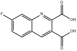 7-FLUOROQUINOLINE-2,3-DICARBOXYLIC ACID Struktur