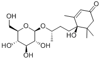 ICARISIDE B5