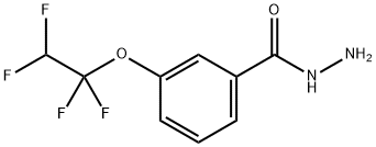 Benzhydrazide, 3-(1,1,2,2-tetrafluoroethoxy)- Struktur