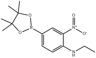 4-Ethylamino-3-nitrophenylboronic acid,pinacol ester price.