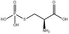 S-phosphocysteine Struktur