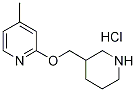 4-Methyl-2-(piperidin-3-ylMethoxy)-pyridine hydrochloride, 98+% C12H19ClN2O, MW: 242.75 Struktur