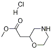 METHYL 2-(MORPHOLIN-2-YL)ACETATE HCL Struktur