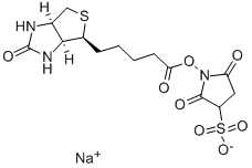 Sulfo-NHS-Biotin price.