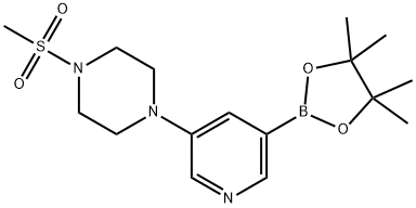 1-(methylsulfonyl)-4-(5-(4,4,5,5-tetramethyl-
1,3,2-dioxaborolan-2-yl)pyridin-3-yl)piperazine Struktur