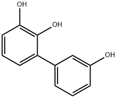 [1,1-Biphenyl]-2,3,3-triol (9CI) Struktur