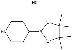 Piperidine-4-boronic acid pinacol ester HCl price.