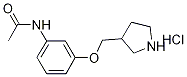 N-[3-(3-Pyrrolidinylmethoxy)phenyl]acetamidehydrochloride Struktur