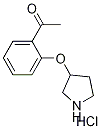 1-[2-(3-Pyrrolidinyloxy)phenyl]-1-ethanonehydrochloride Struktur