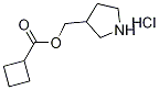 3-Pyrrolidinylmethyl cyclobutanecarboxylatehydrochloride Struktur