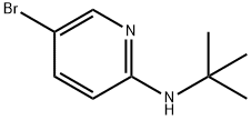 N-(5-Bromo-2-pyridinyl)-N-(tert-butyl)amine Struktur