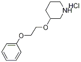 3-(2-Phenoxyethoxy)piperidine hydrochloride Struktur