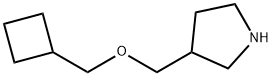 3-Cyclobutylmethoxymethyl-pyrrolidine Structure