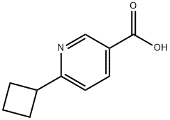 6-cyclobutylnicotinic acid Struktur