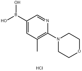 5-Methyl-6-morpholinopyridin-3-ylboronic acidhydrochloride Struktur