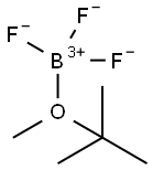 BORON TRIFLUORIDE TERT-BUTYL METHYL ETHERATE Struktur