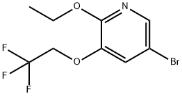 5-broMo-2-ethoxy-3-(2,2,2-trifluoroethoxy)pyridine Struktur