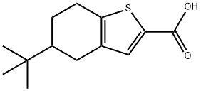 5-TERT-BUTYL-4,5,6,7-TETRAHYDRO-1-BENZOTHIOPHENE-2-CARBOXYLIC ACID price.