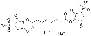 BS3 Structure