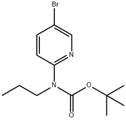 tert-Butyl 5-bromopyridin-3-yl(propyl)carbamate|2-(N-BOC-N-丙氨基)-5-溴吡啶