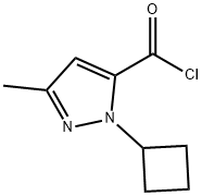 1H-Pyrazole-5-carbonyl chloride, 1-cyclobutyl-3-methyl- (9CI) Struktur