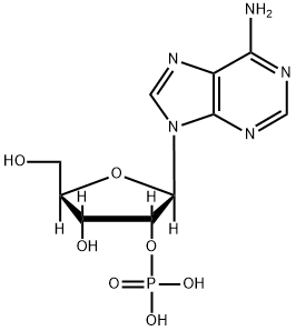 ADENOSINE 2' -& 3'-MONOPHOSPHATE FREE