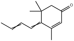 Tabanone Struktur