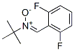 2,6-difluorophenyl-N-tert-butylnitrone Struktur