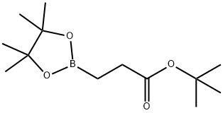 tert-Butyl 3-(4,4,5,5-tetramethyl-[1,3,2]dioxaborolan-2-yl) propionate Struktur